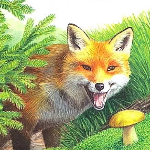ilustrace
